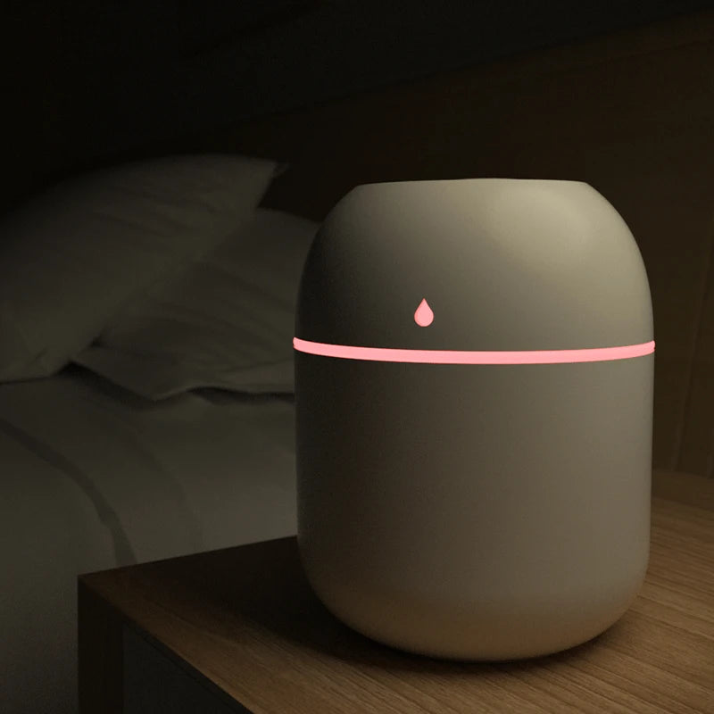 Portable USB Humidifier 220ml | Quiet Mist & LED Night Light